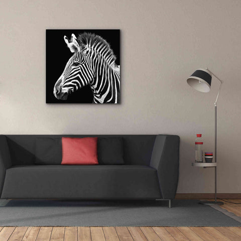 Image of 'Zebra VII' by Debra Van Swearingen, Canvas Wall Art,37 x 37