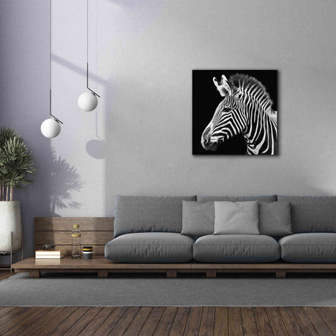 Image of 'Zebra VII' by Debra Van Swearingen, Canvas Wall Art,37 x 37