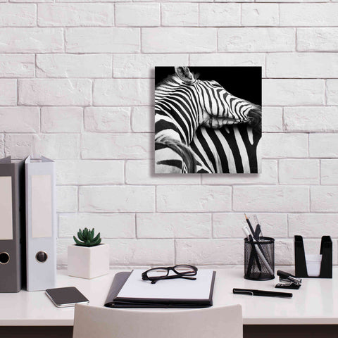 Image of 'Zebra VIII' by Debra Van Swearingen, Canvas Wall Art,12 x 12
