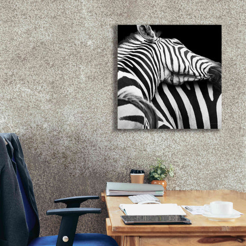 Image of 'Zebra VIII' by Debra Van Swearingen, Canvas Wall Art,26 x 26