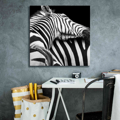 Image of 'Zebra VIII' by Debra Van Swearingen, Canvas Wall Art,26 x 26