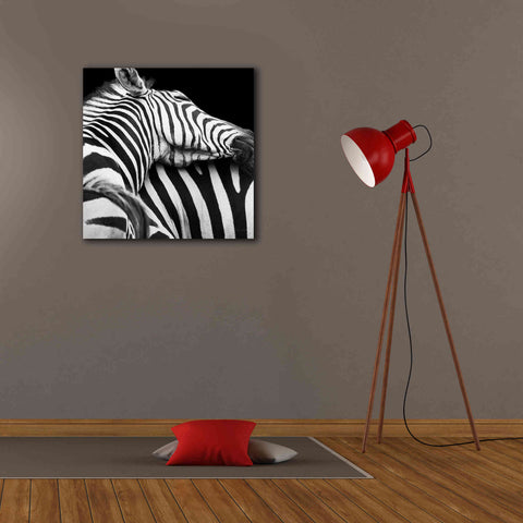 Image of 'Zebra VIII' by Debra Van Swearingen, Canvas Wall Art,26 x 26