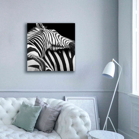 Image of 'Zebra VIII' by Debra Van Swearingen, Canvas Wall Art,37 x 37