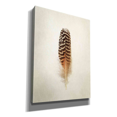 Image of 'Feather I' by Debra Van Swearingen, Canvas Wall Art,12x16x1.1x0,20x24x1.1x0,26x30x1.74x0,40x54x1.74x0