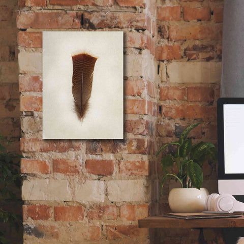 Image of 'Feather III' by Debra Van Swearingen, Canvas Wall Art,12 x 16