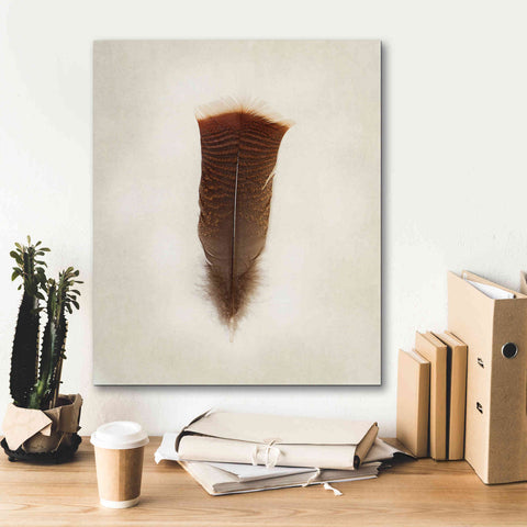 Image of 'Feather III' by Debra Van Swearingen, Canvas Wall Art,20 x 24