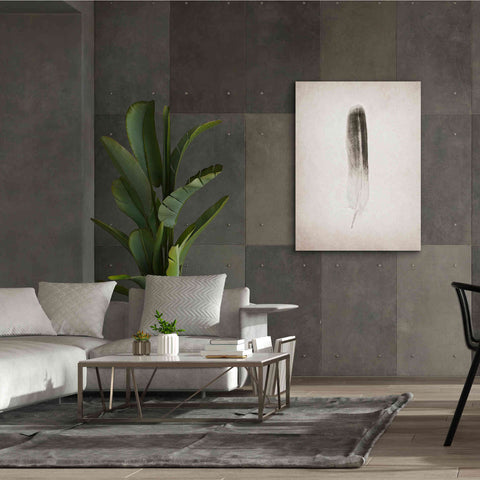 Image of 'Feather II B&W' by Debra Van Swearingen, Canvas Wall Art,40 x 54