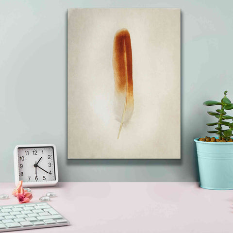 Image of 'Feather II' by Debra Van Swearingen, Canvas Wall Art,12 x 16