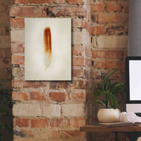 Image of 'Feather II' by Debra Van Swearingen, Canvas Wall Art,12 x 16