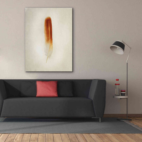 Image of 'Feather II' by Debra Van Swearingen, Canvas Wall Art,40 x 54