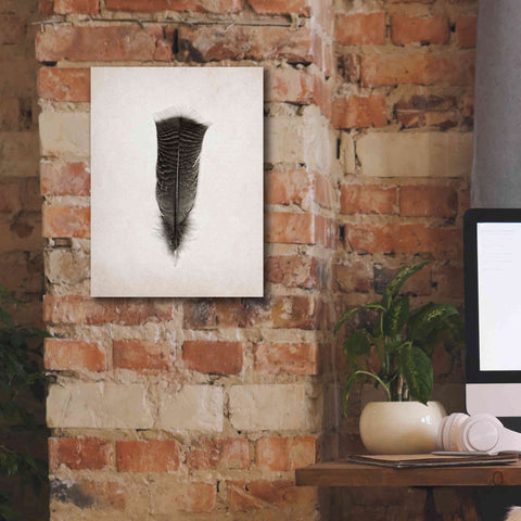 Image of 'Feather III B&W' by Debra Van Swearingen, Canvas Wall Art,12 x 16