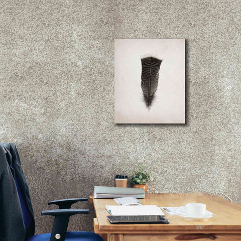 Image of 'Feather III B&W' by Debra Van Swearingen, Canvas Wall Art,20 x 24