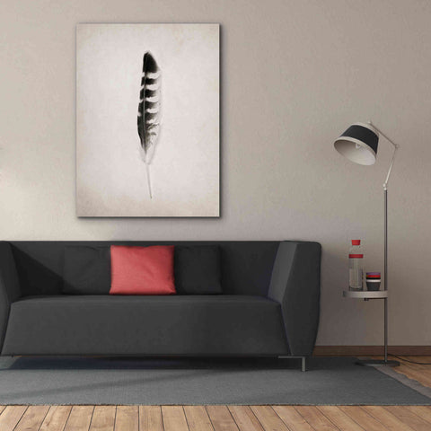 Image of 'Feather IV B&W' by Debra Van Swearingen, Canvas Wall Art,40 x 54