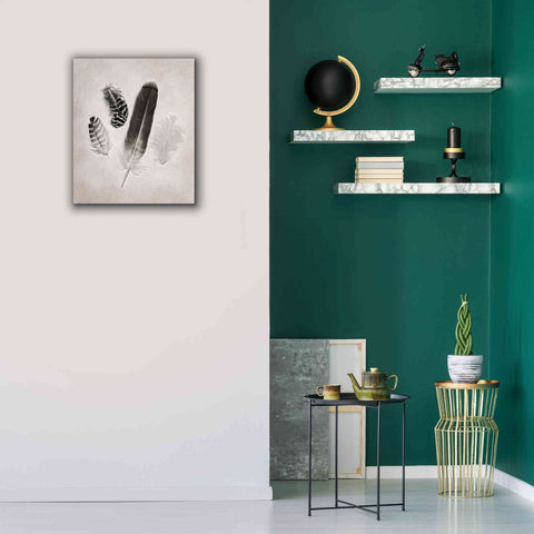 Image of 'Feather Group I B&W' by Debra Van Swearingen, Canvas Wall Art,20 x 24