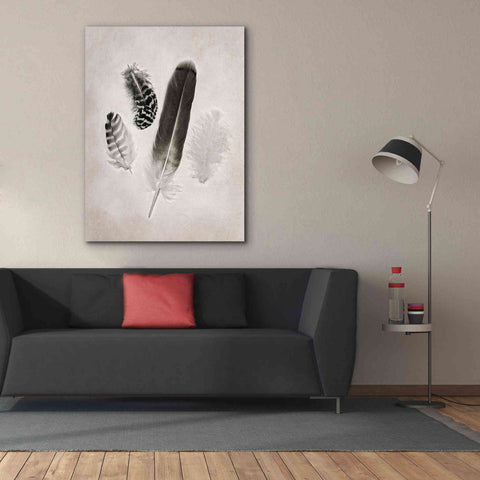 Image of 'Feather Group I B&W' by Debra Van Swearingen, Canvas Wall Art,40 x 54