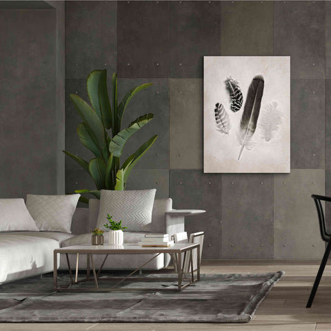 Image of 'Feather Group I B&W' by Debra Van Swearingen, Canvas Wall Art,40 x 54