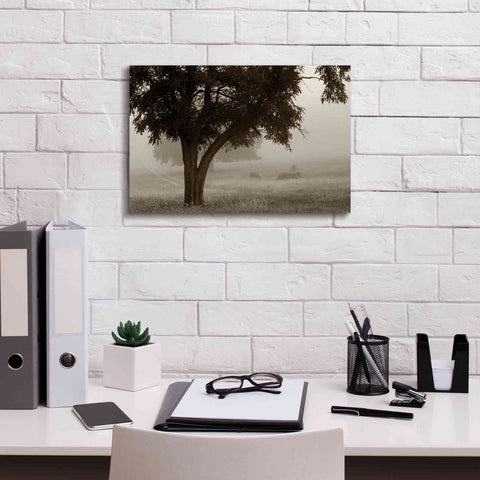 Image of 'Calm Mist' by Debra Van Swearingen, Canvas Wall Art,18 x 12