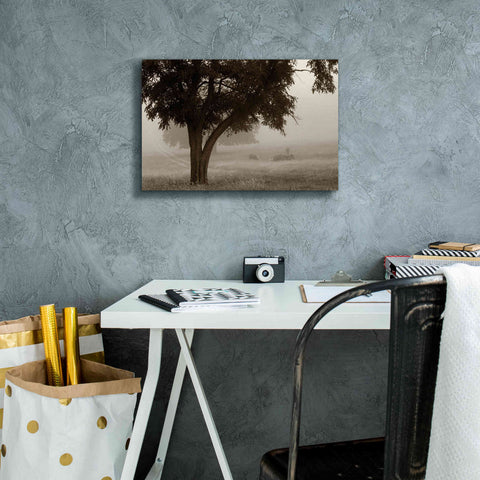 Image of 'Calm Mist' by Debra Van Swearingen, Canvas Wall Art,18 x 12