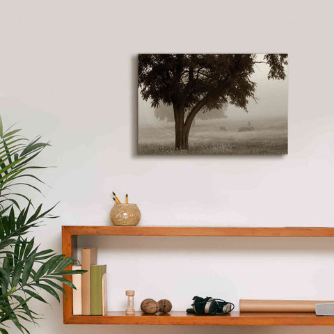 Image of 'Calm Mist' by Debra Van Swearingen, Canvas Wall Art,18 x 12