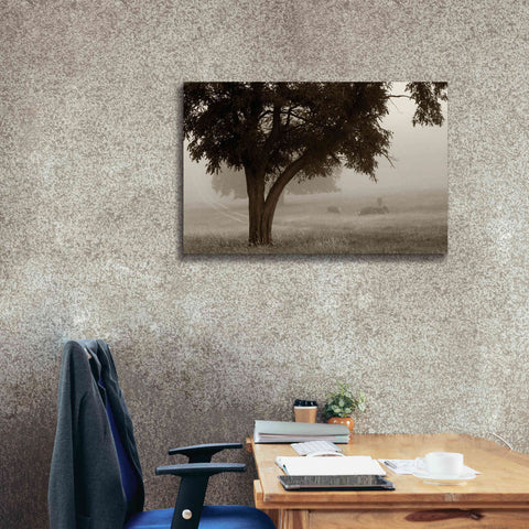 Image of 'Calm Mist' by Debra Van Swearingen, Canvas Wall Art,40 x 26