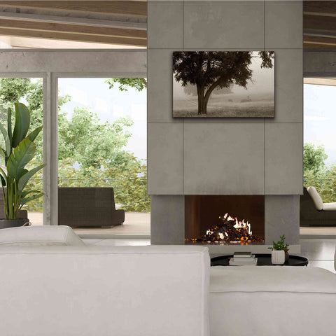 Image of 'Calm Mist' by Debra Van Swearingen, Canvas Wall Art,40 x 26