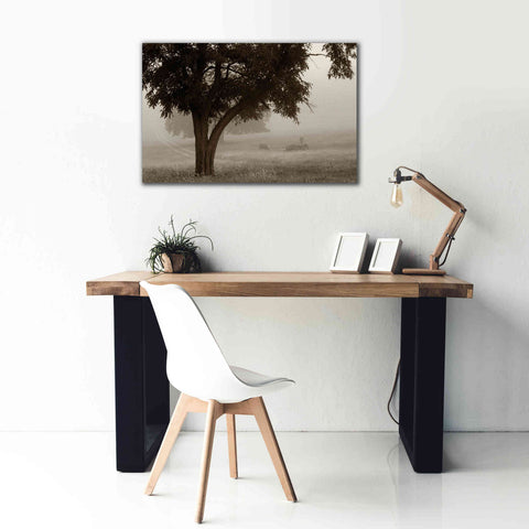 Image of 'Calm Mist' by Debra Van Swearingen, Canvas Wall Art,40 x 26