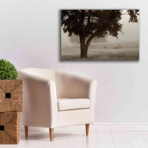 Image of 'Calm Mist' by Debra Van Swearingen, Canvas Wall Art,40 x 26