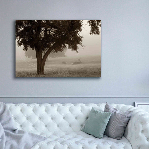 Image of 'Calm Mist' by Debra Van Swearingen, Canvas Wall Art,60 x 40