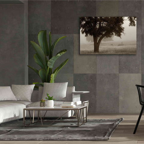 Image of 'Calm Mist' by Debra Van Swearingen, Canvas Wall Art,60 x 40