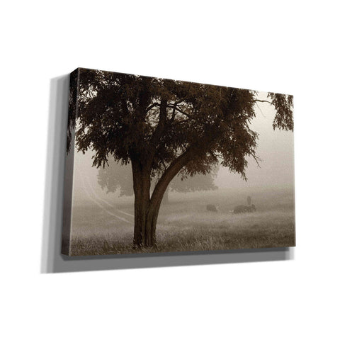 Image of 'Calm Mist' by Debra Van Swearingen, Canvas Wall Art,18x12x1.1x0,26x18x1.1x0,40x26x1.74x0,60x40x1.74x0