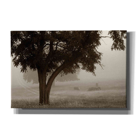 Image of 'Calm Mist' by Debra Van Swearingen, Canvas Wall Art,18x12x1.1x0,26x18x1.1x0,40x26x1.74x0,60x40x1.74x0