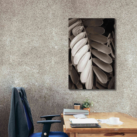 Image of 'Tropical Plant I' by Debra Van Swearingen, Canvas Wall Art,26 x 40