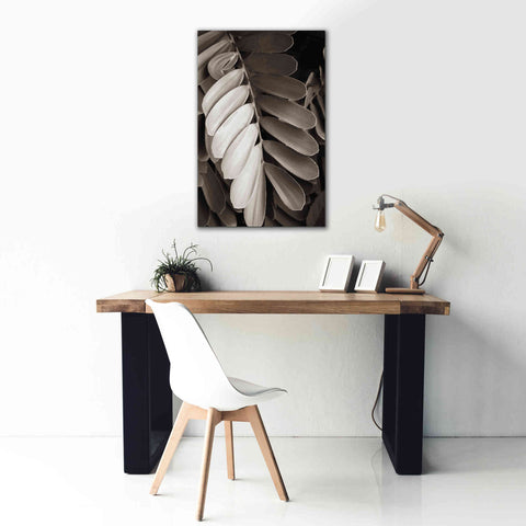 Image of 'Tropical Plant I' by Debra Van Swearingen, Canvas Wall Art,26 x 40