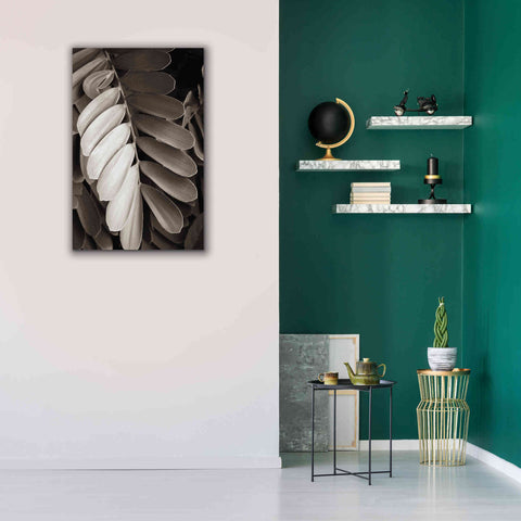 Image of 'Tropical Plant I' by Debra Van Swearingen, Canvas Wall Art,26 x 40