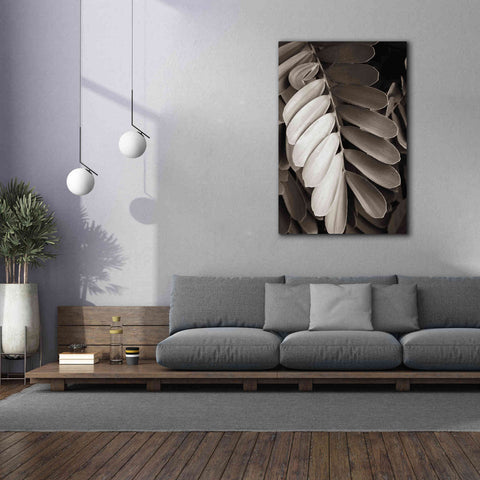 Image of 'Tropical Plant I' by Debra Van Swearingen, Canvas Wall Art,40 x 60