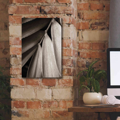 Image of 'Tropical Plant II' by Debra Van Swearingen, Canvas Wall Art,12 x 18