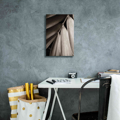 Image of 'Tropical Plant II' by Debra Van Swearingen, Canvas Wall Art,12 x 18