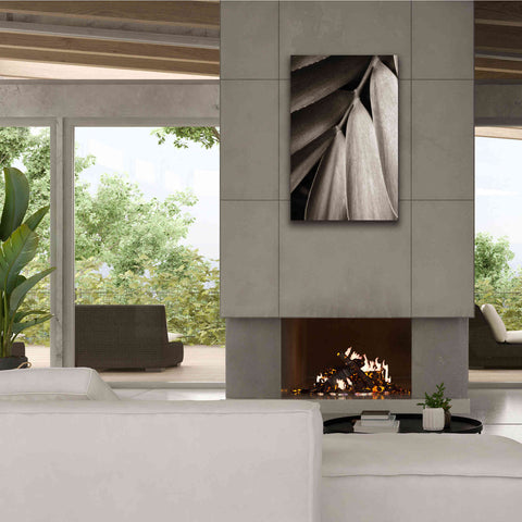 Image of 'Tropical Plant II' by Debra Van Swearingen, Canvas Wall Art,26 x 40