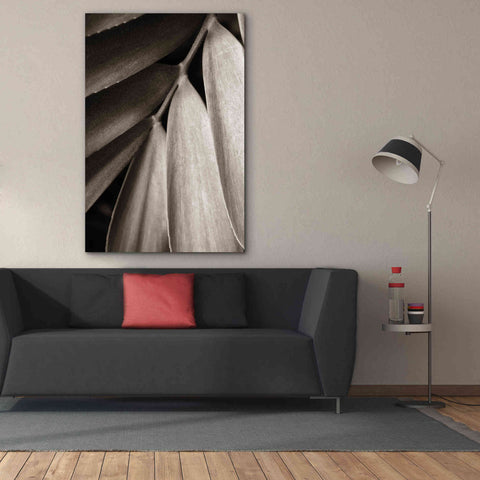 Image of 'Tropical Plant II' by Debra Van Swearingen, Canvas Wall Art,40 x 60