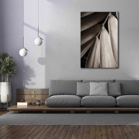 Image of 'Tropical Plant II' by Debra Van Swearingen, Canvas Wall Art,40 x 60