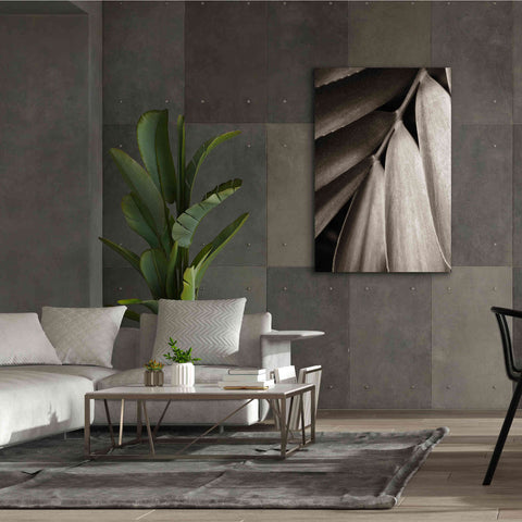 Image of 'Tropical Plant II' by Debra Van Swearingen, Canvas Wall Art,40 x 60