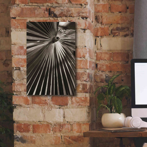 Image of 'Palm Frond 1' by Debra Van Swearingen, Canvas Wall Art,12 x 18