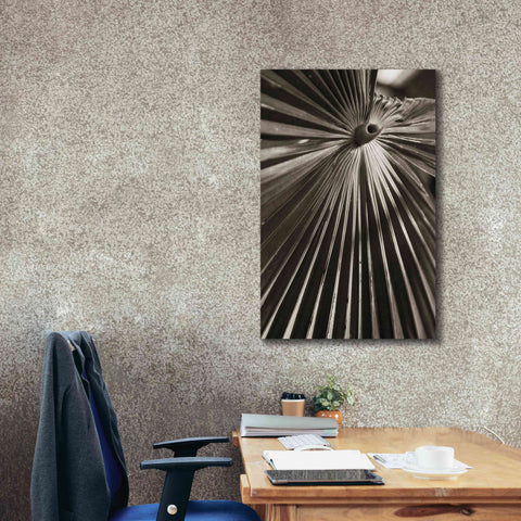 Image of 'Palm Frond 1' by Debra Van Swearingen, Canvas Wall Art,26 x 40