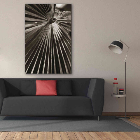 Image of 'Palm Frond 1' by Debra Van Swearingen, Canvas Wall Art,40 x 60