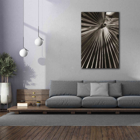 Image of 'Palm Frond 1' by Debra Van Swearingen, Canvas Wall Art,40 x 60