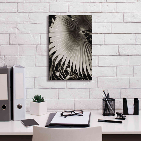 Image of 'Palm Frond 2' by Debra Van Swearingen, Canvas Wall Art,12 x 18