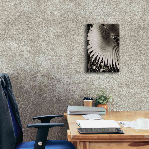 Image of 'Palm Frond 2' by Debra Van Swearingen, Canvas Wall Art,12 x 18