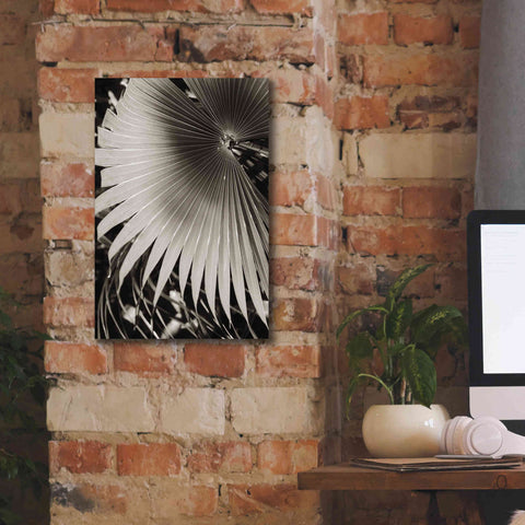 Image of 'Palm Frond 2' by Debra Van Swearingen, Canvas Wall Art,12 x 18