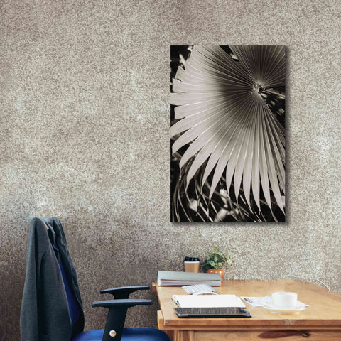 Image of 'Palm Frond 2' by Debra Van Swearingen, Canvas Wall Art,26 x 40