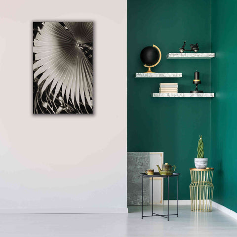 Image of 'Palm Frond 2' by Debra Van Swearingen, Canvas Wall Art,26 x 40